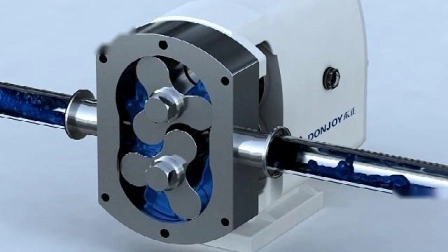 Mini pompa a lobi rotativi a piccoli ingranaggi ad alta viscosità sanitaria in acciaio inossidabile
